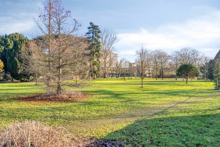 Foto 49 van Bosduifstraat 16