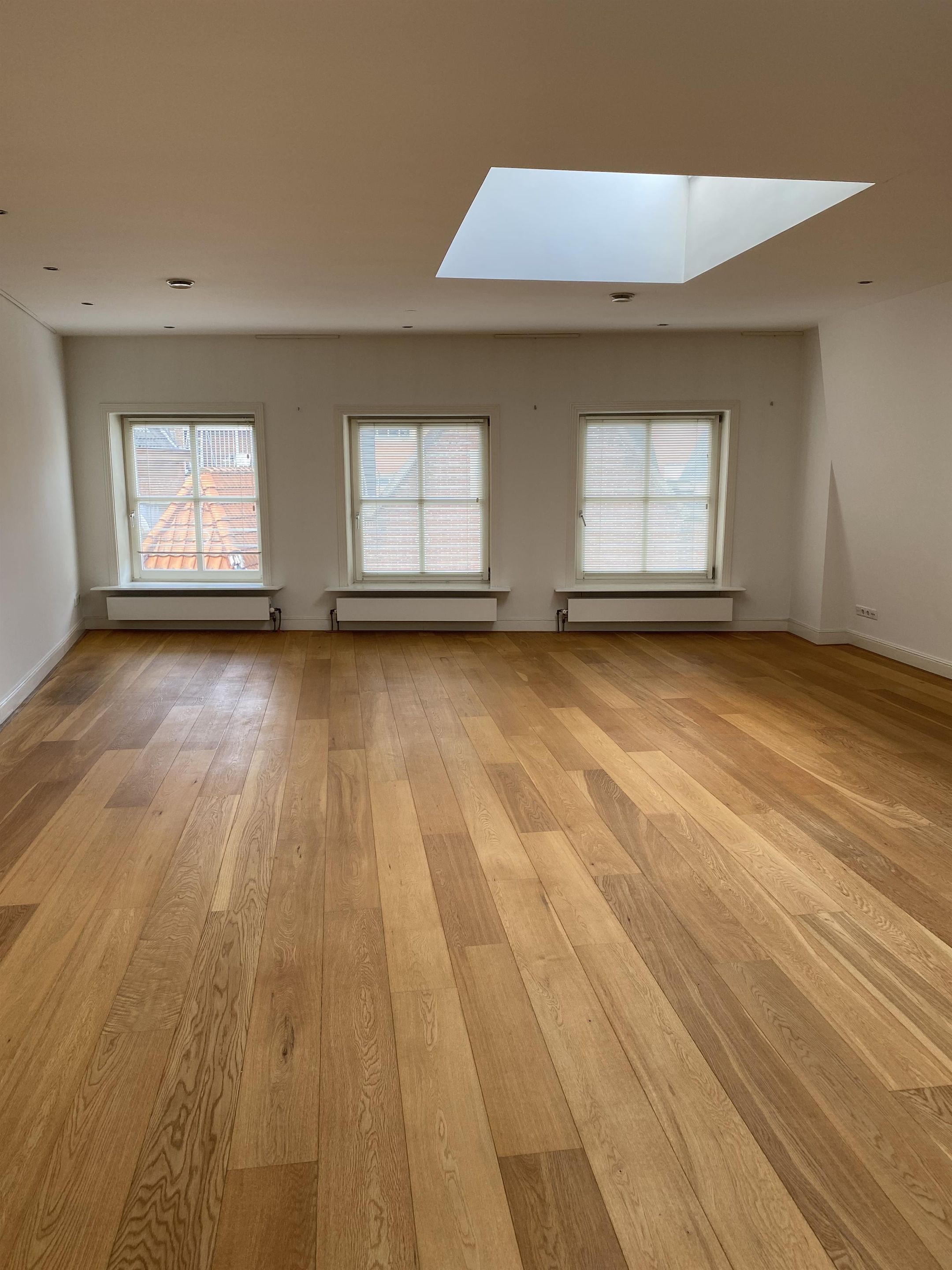 Foto 6 van Halstraat 4