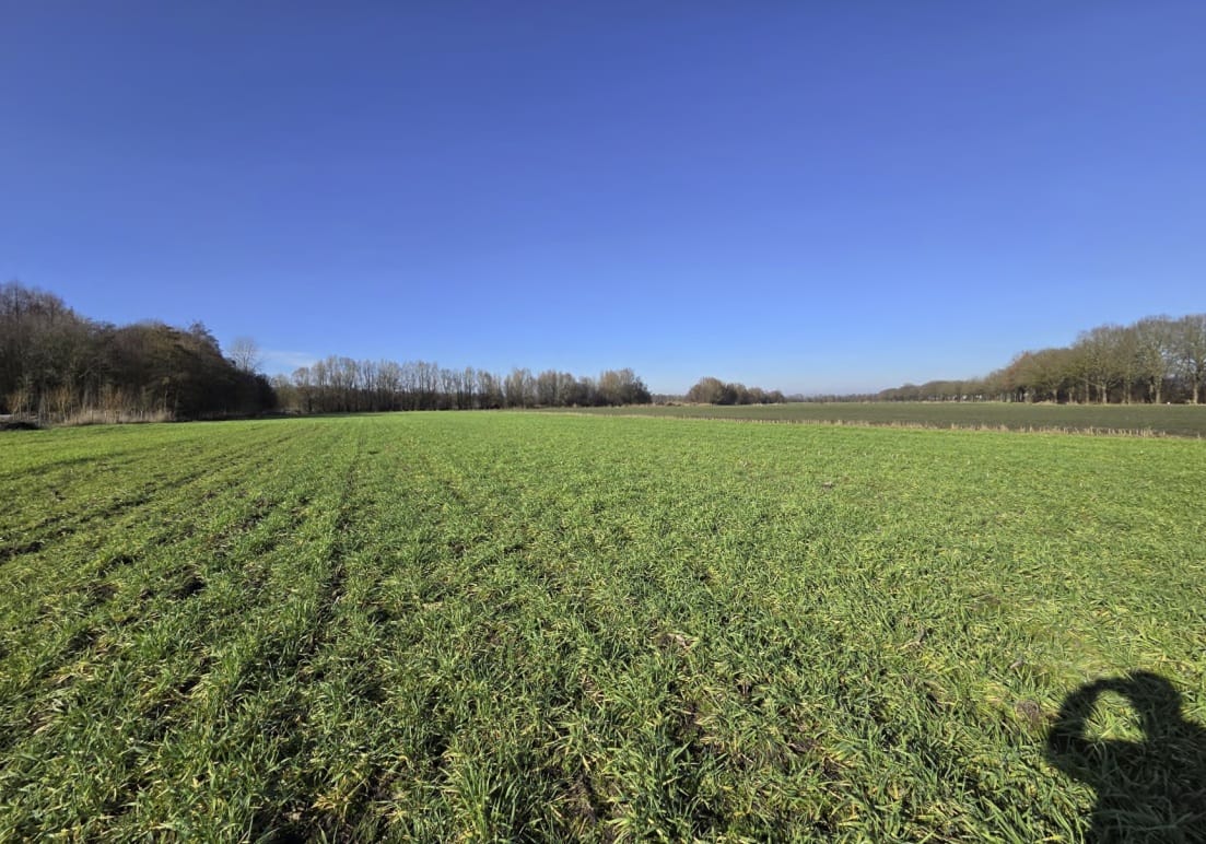 Foto 3 van Koevoortseweg