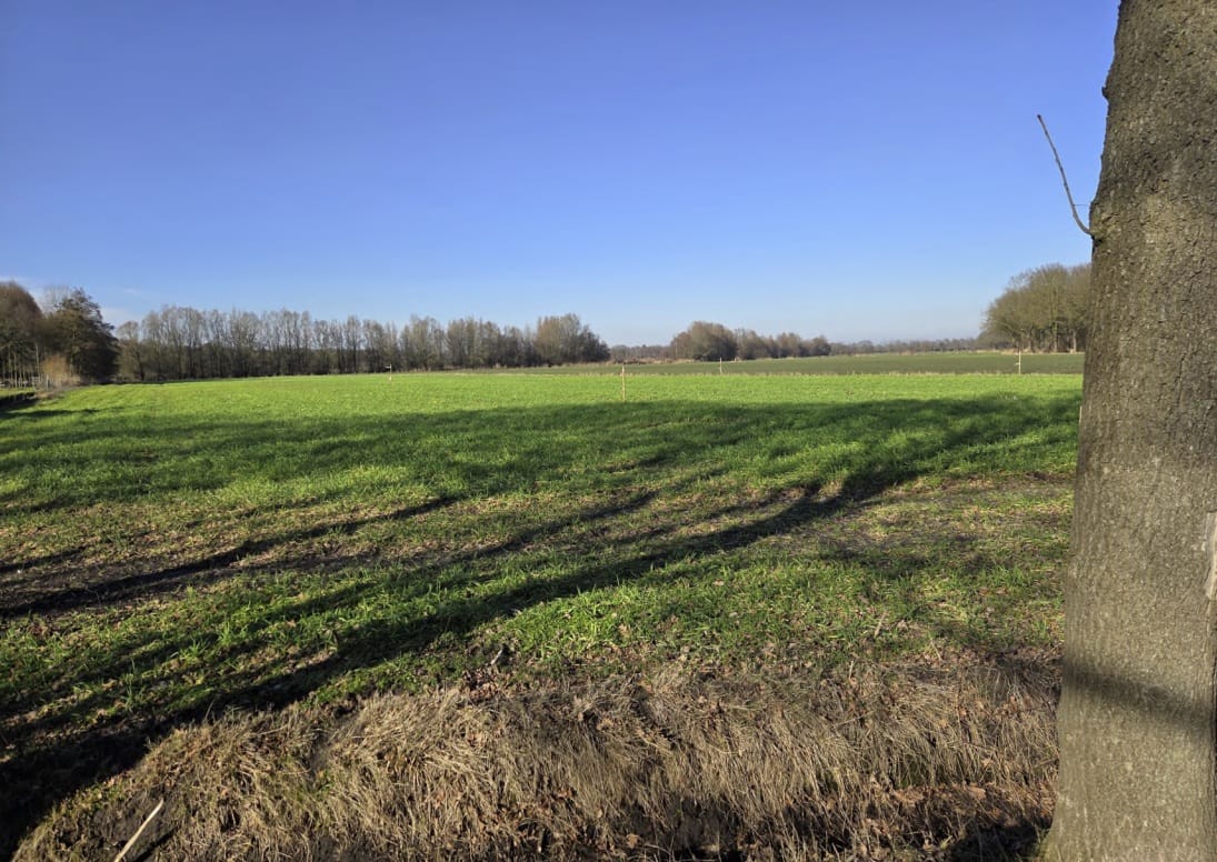 Foto 5 van Koevoortseweg