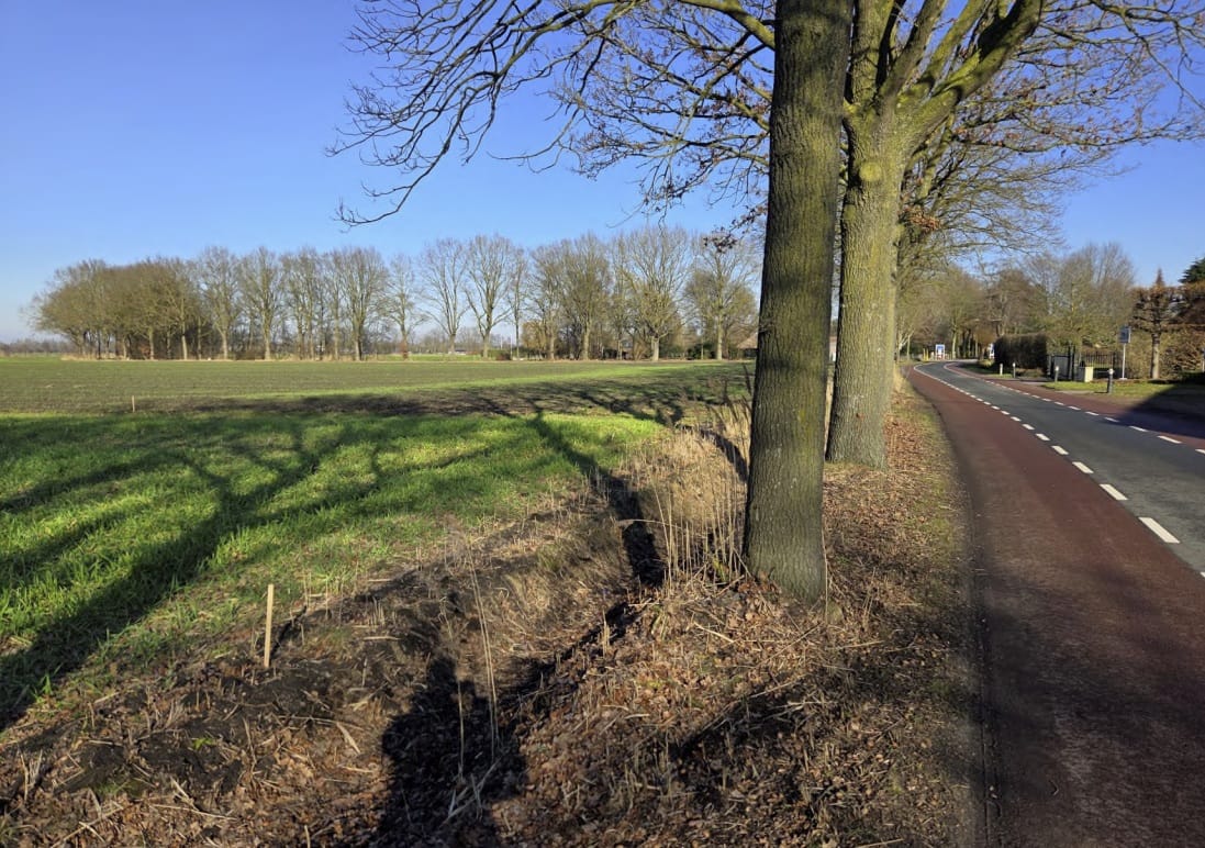 Foto 6 van Koevoortseweg