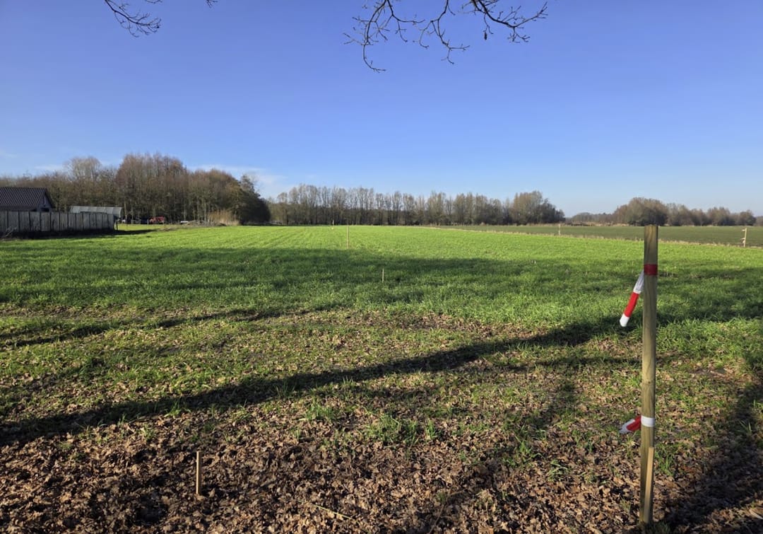 Foto 8 van Koevoortseweg