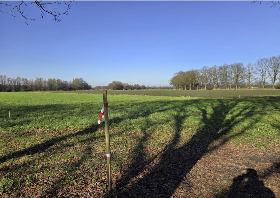 Foto 9 van Koevoortseweg