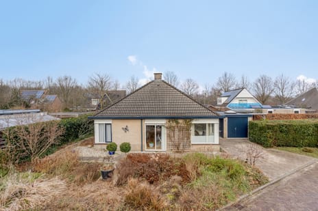 undefined main image