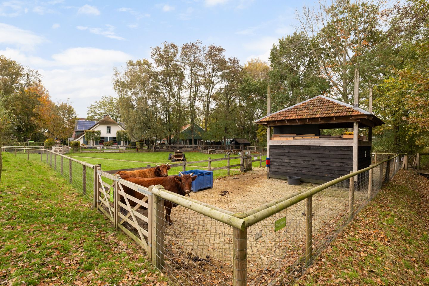 Photo 40 of Wageningseberg 126