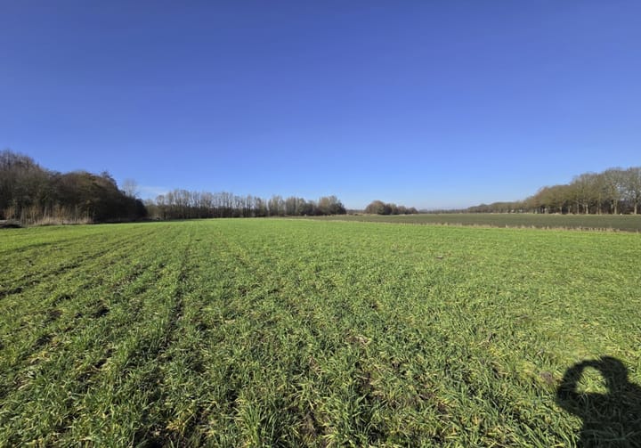 Photo 2 of Koevoortseweg