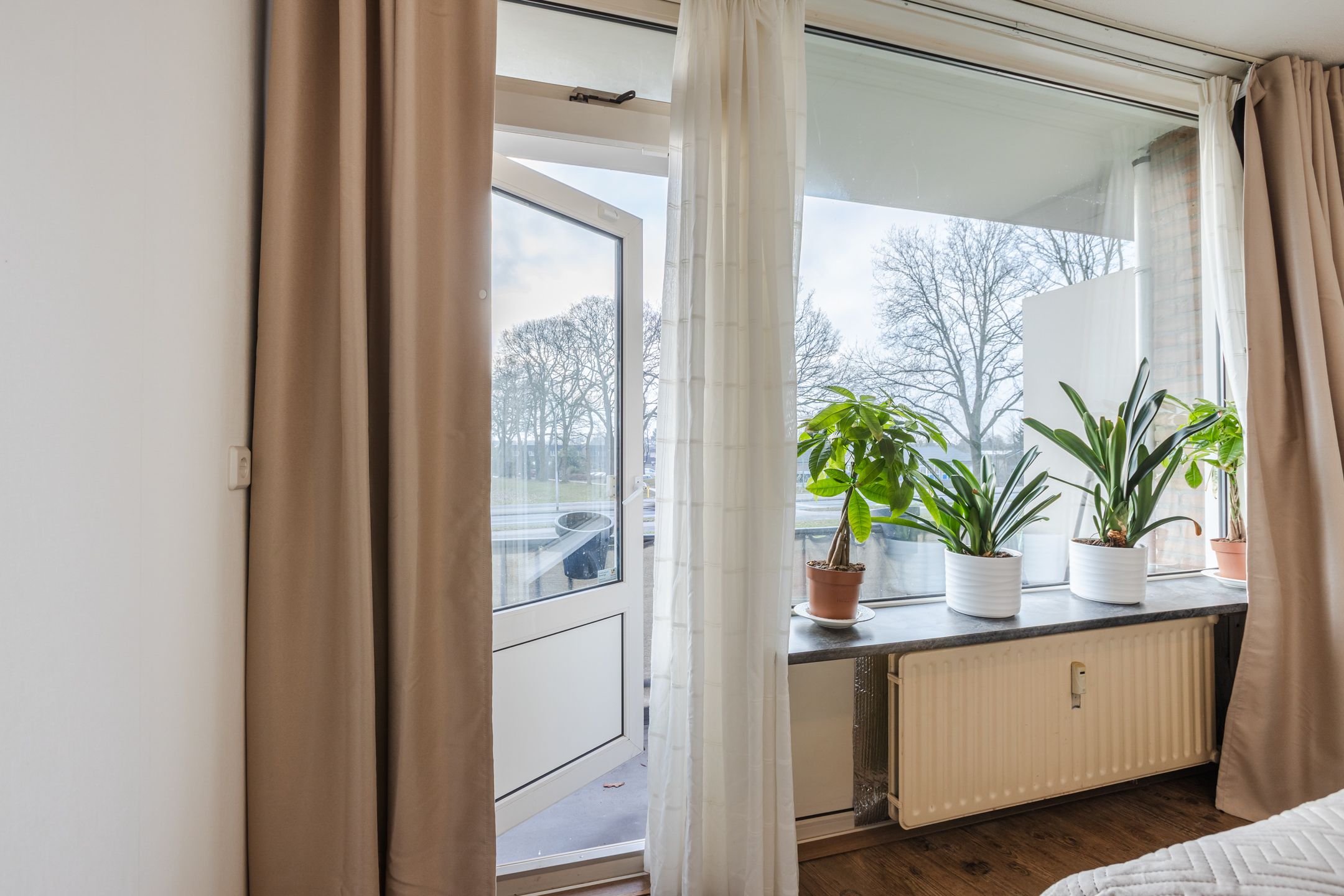 Photo 15 of De Reiger 171