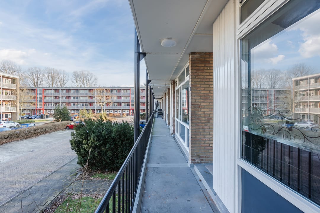 Photo 26 of De Reiger 171