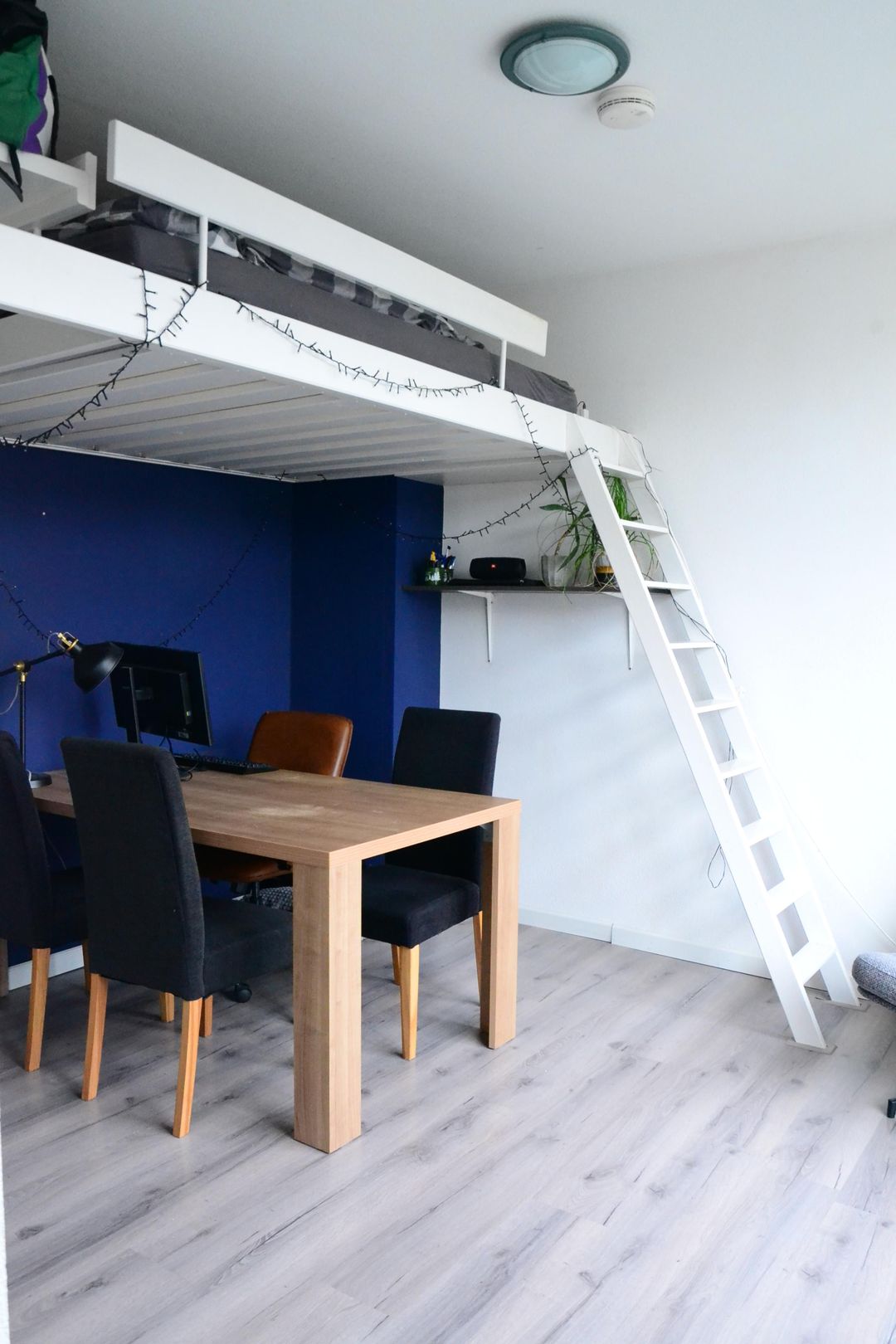 Foto 2 van Pelikaanstraat 21-BS