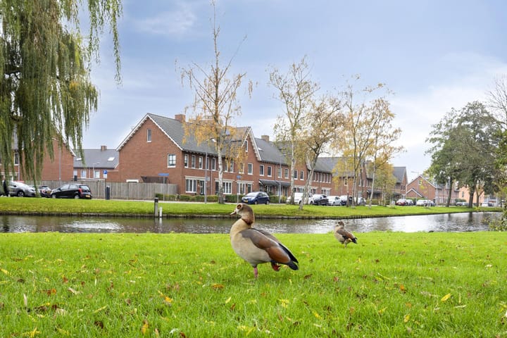 Foto 24 van Hoogenwaardstraat 74-A