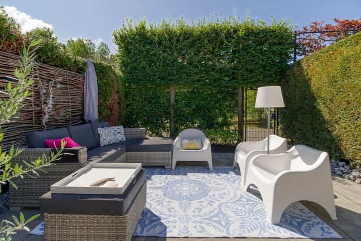 Foto 3 van Lepelblad 93