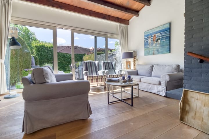 Foto 7 van Lepelblad 93