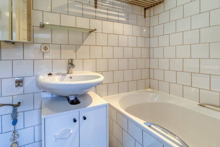 Foto 16 van Lepelblad 93