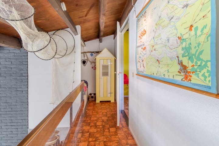 Foto 22 van Lepelblad 93