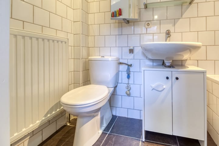 Foto 15 van Lepelblad 93