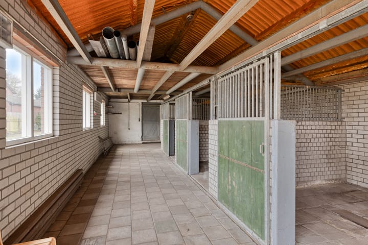 Foto 36 van Witrijtseweg 4