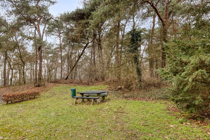 Foto 38 van Witrijtseweg 4