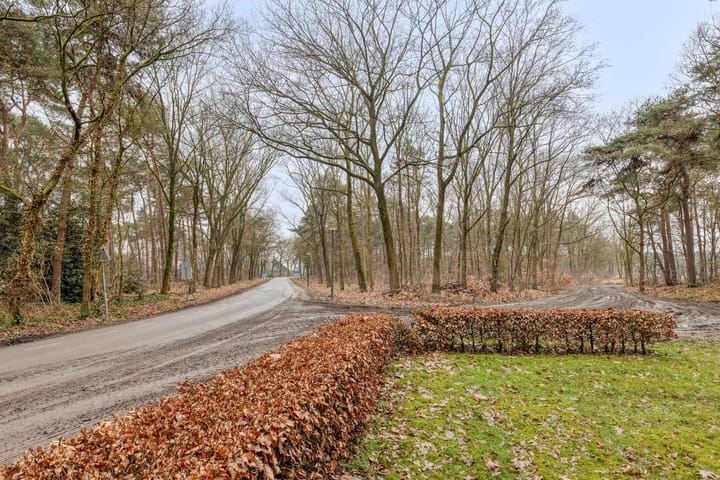 Foto 39 van Witrijtseweg 4