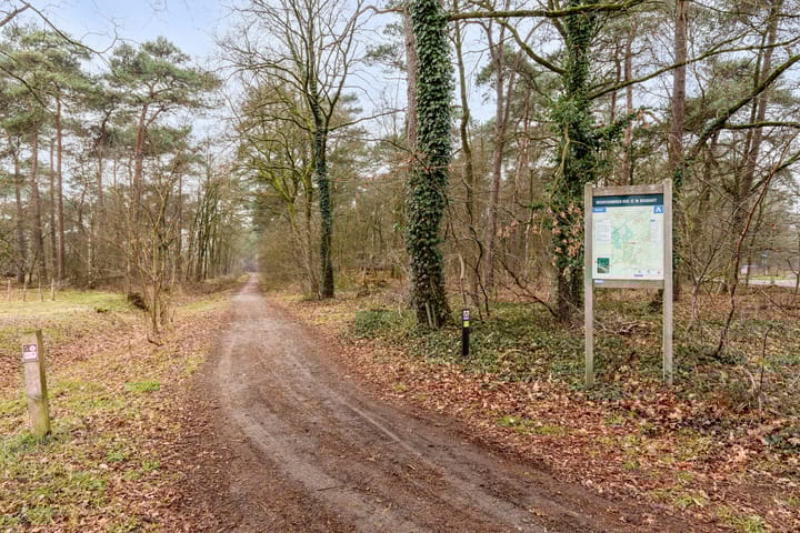 Foto 40 van Witrijtseweg 4