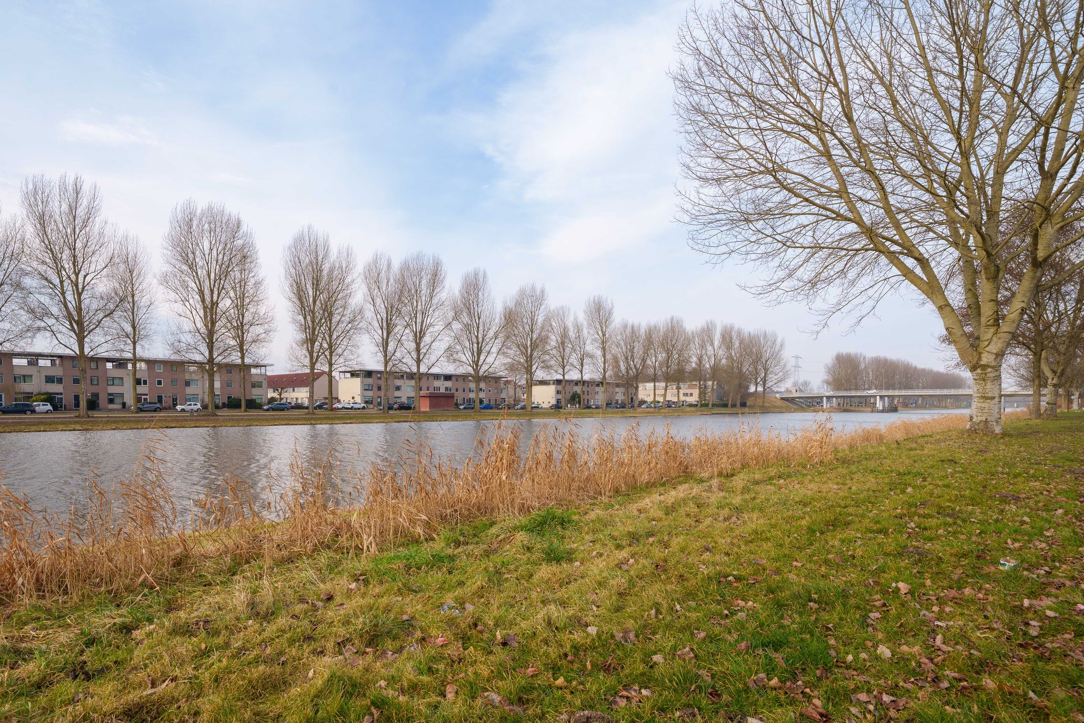 Foto 39 van Renoirstraat 86