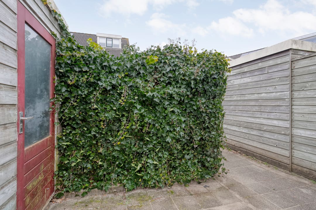 Foto 41 van Swammerdamlaan 2