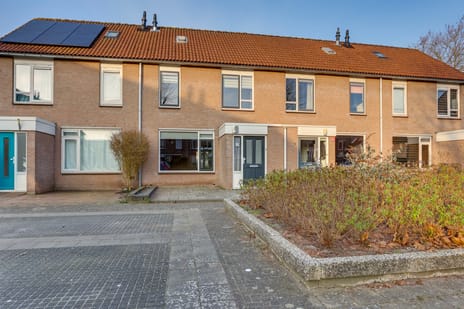 undefined main image