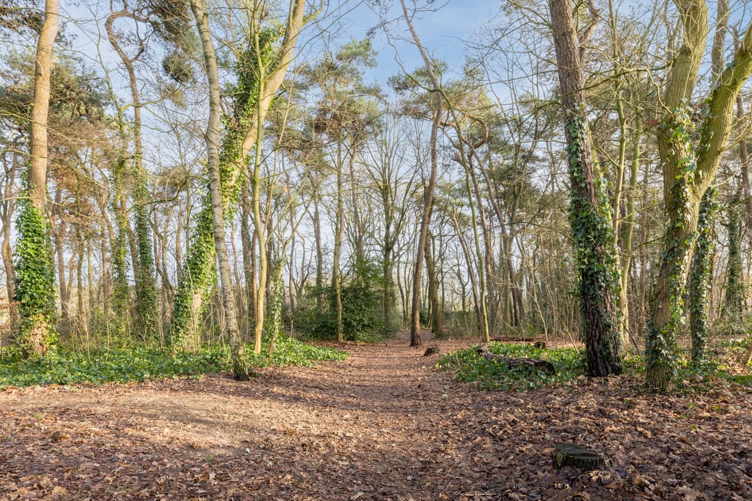 Foto 37 van De Steenkamp 115