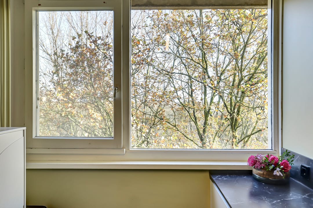 Foto 22 van Spreeuwenstraat 137