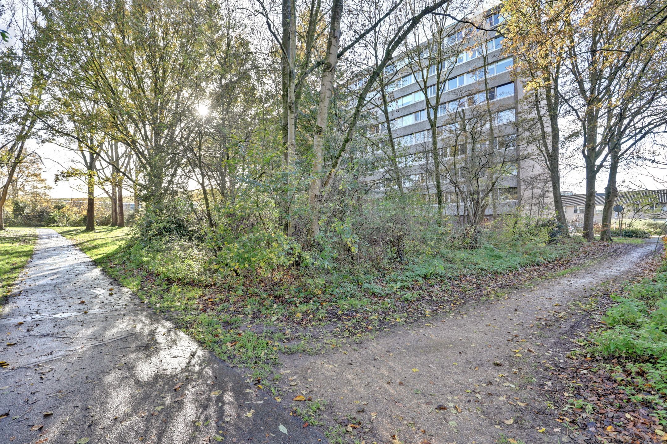 Foto 30 van Spreeuwenstraat 137