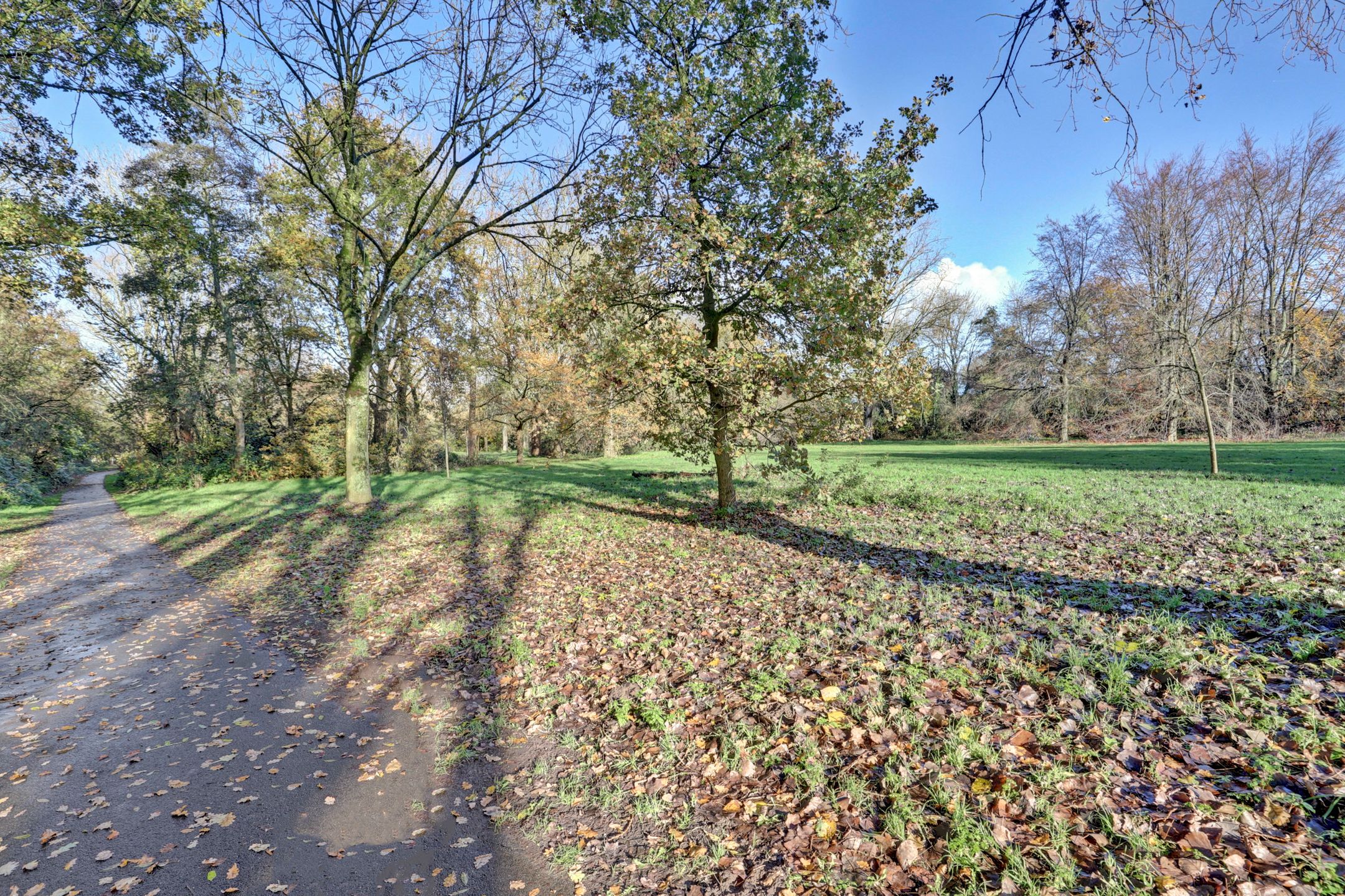 Foto 33 van Spreeuwenstraat 137