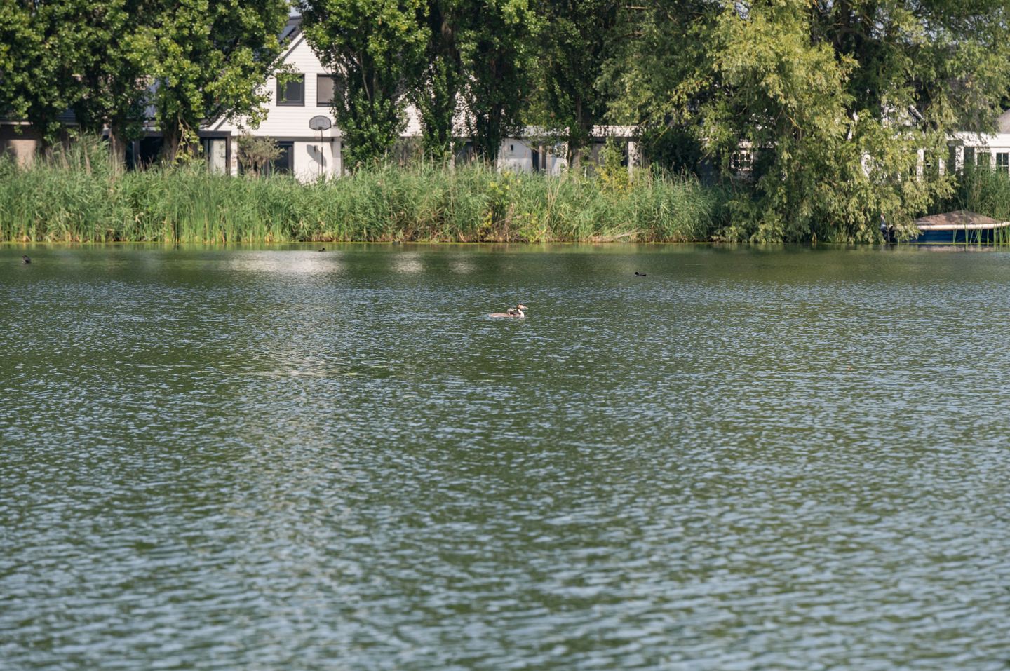 Foto 29 van Prins Bernhardstraat 15