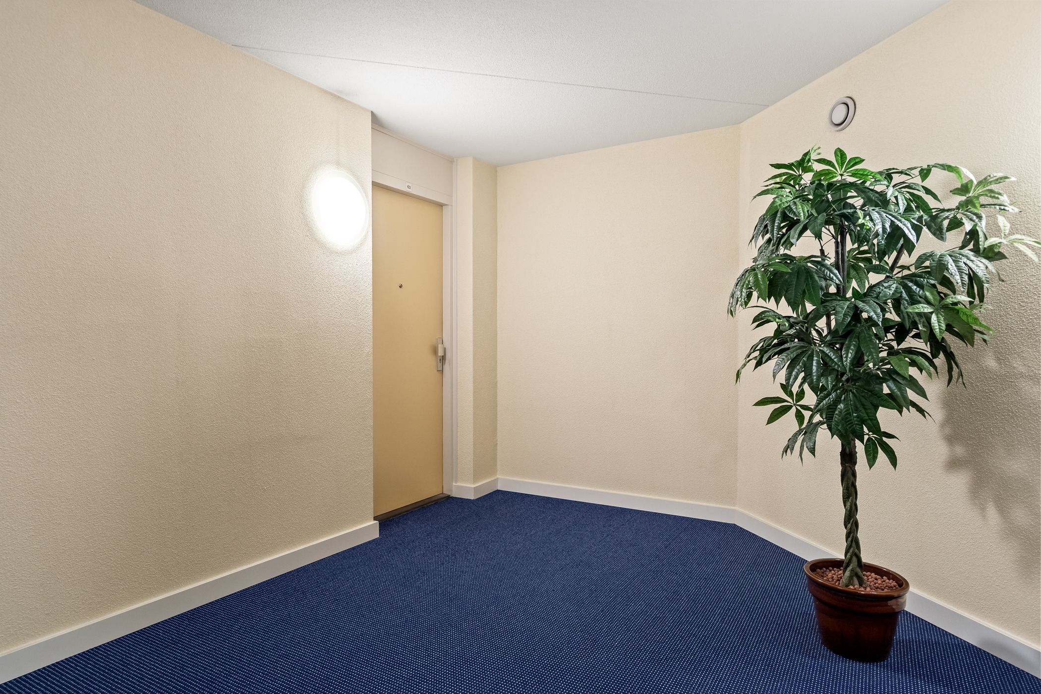 Photo 6 of Grootslag 63