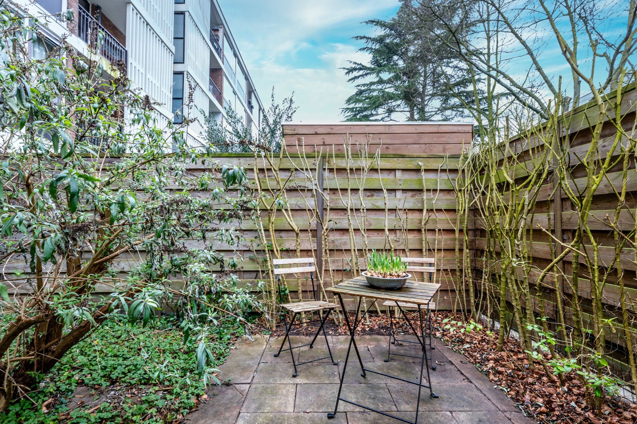 Foto 12 van Rooseveltlaan 518-B