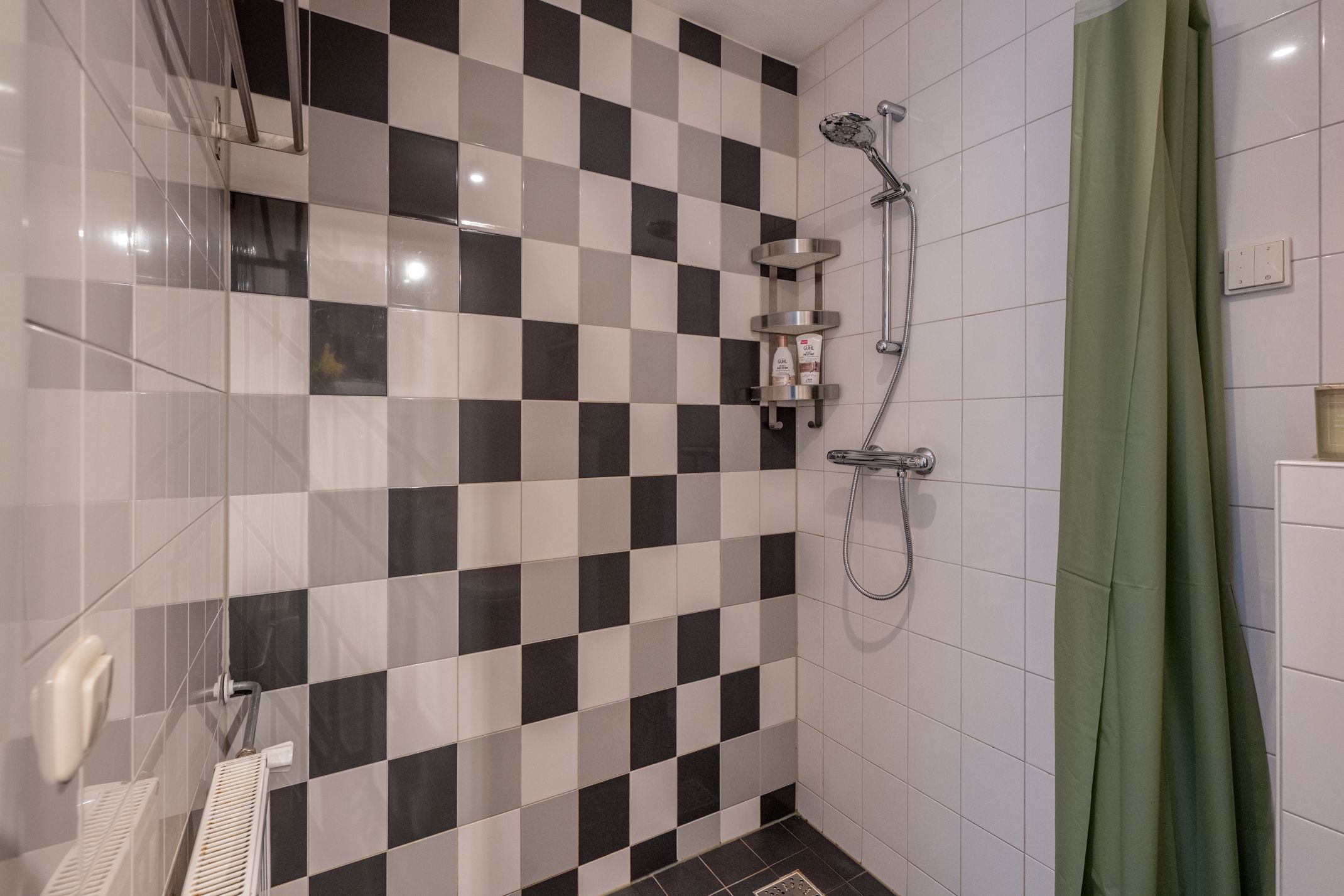 Foto 18 van Rooseveltlaan 518-B