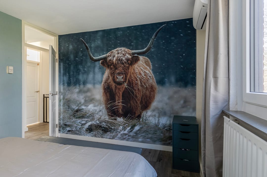 Photo 13 of Seringenstraat 19