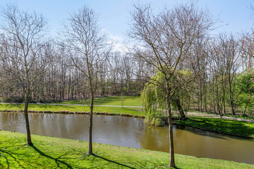 Photo 22 of Oude-Tongepad 30