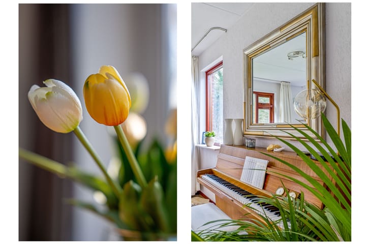 Foto 11 van Oude Rijksstraatweg 6