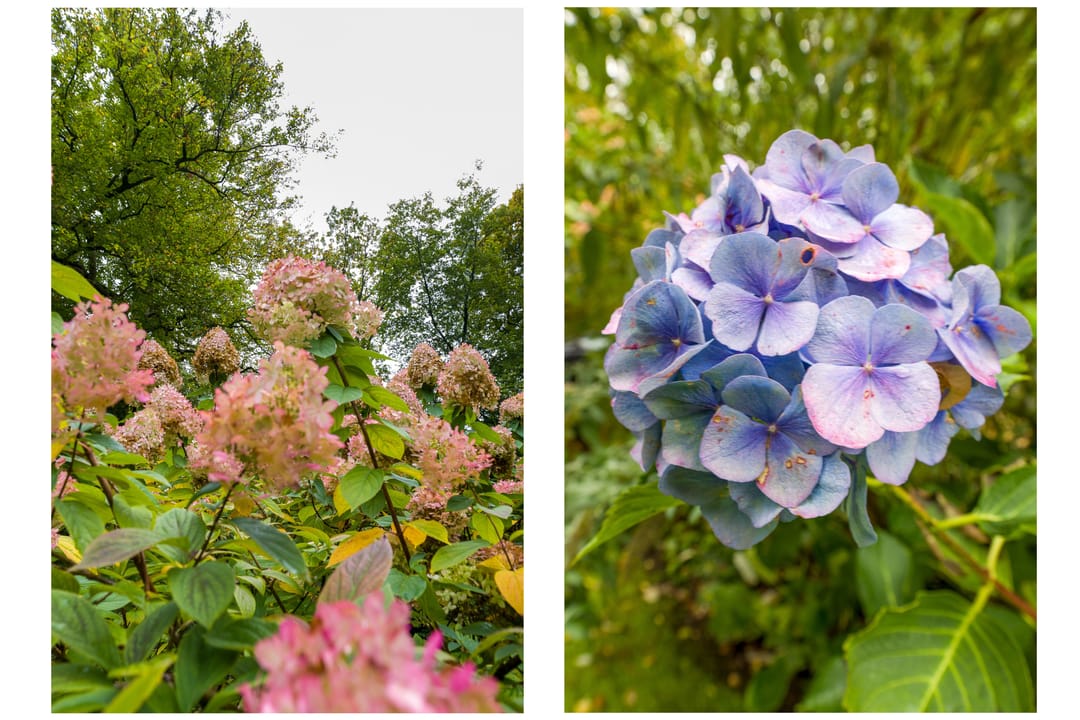 Foto 46 van Oude Rijksstraatweg 6