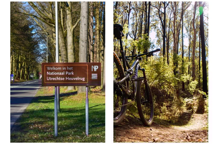 Foto 50 van Oude Rijksstraatweg 6