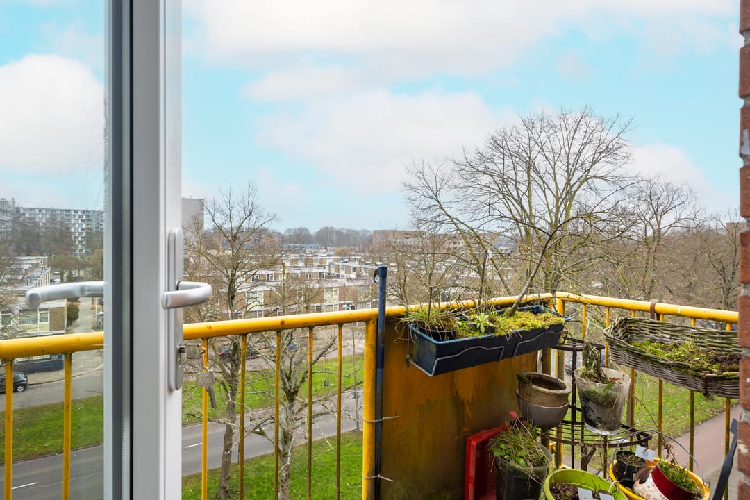 Foto 28 van Moezeldreef 207