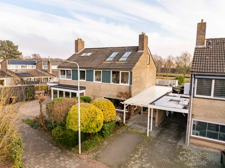 De Wulp 50 secondary image