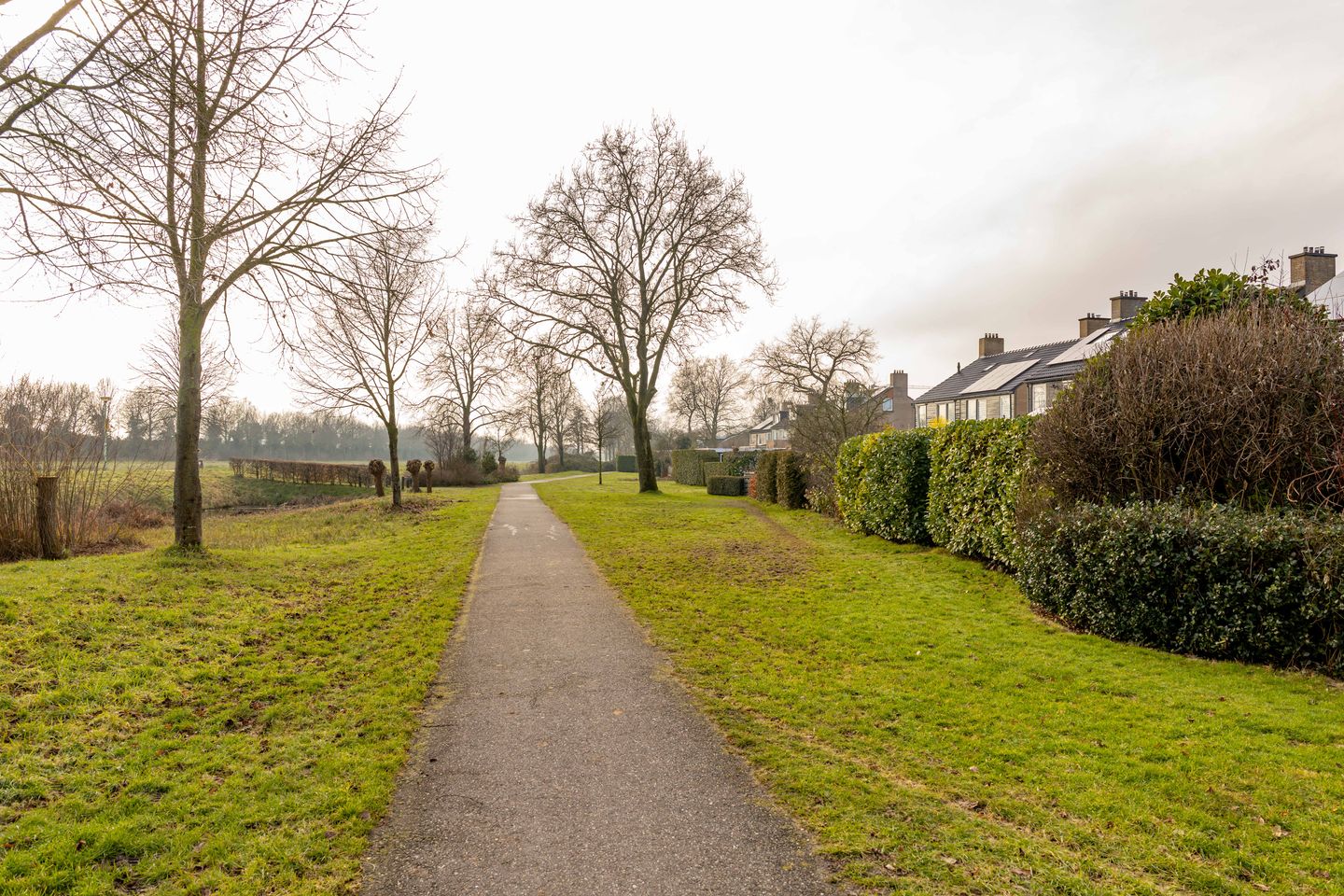 Foto 50 van De Wulp 50