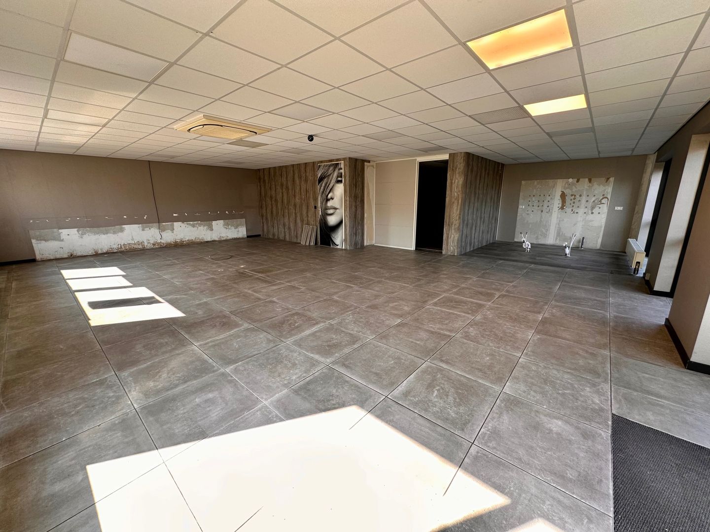 View photo 3 of Duifkruid 3