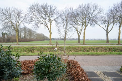 Vinkenlaan 10 secondary image