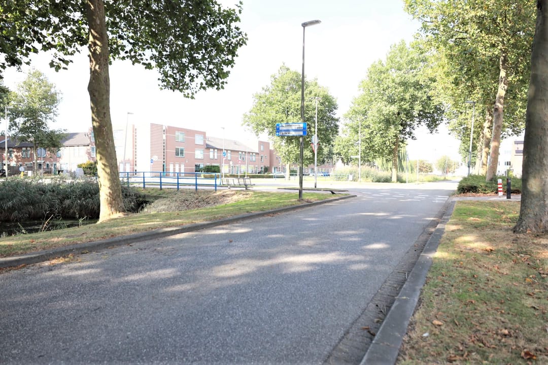 Foto 41 van Paletsingel 60