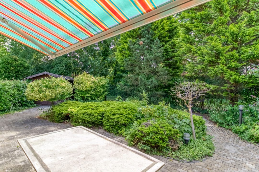 Foto 28 van Liguster 87