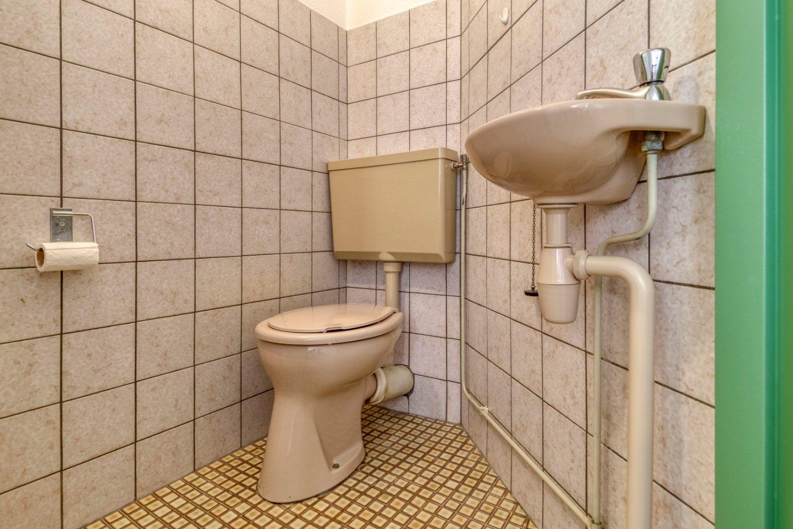 Foto 48 van Liguster 87