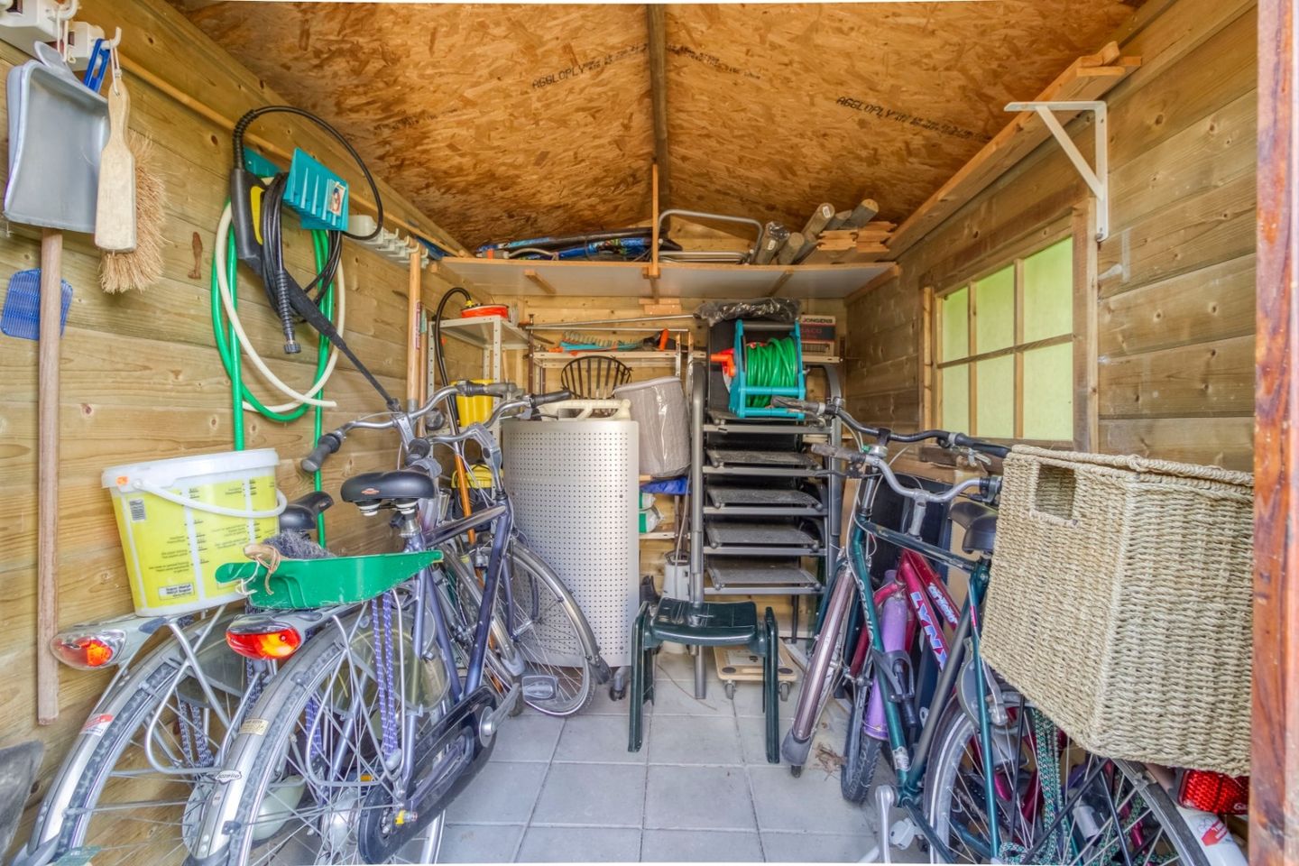 Foto 50 van Liguster 87