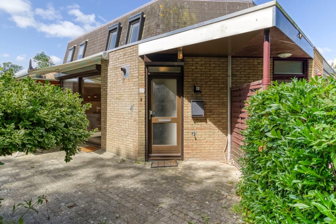 Foto 53 van Liguster 87