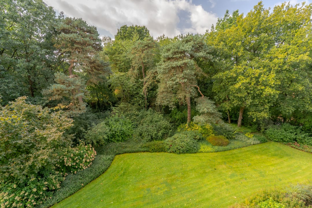 Foto 16 van Burgemeester Van der Borchlaan 2-K